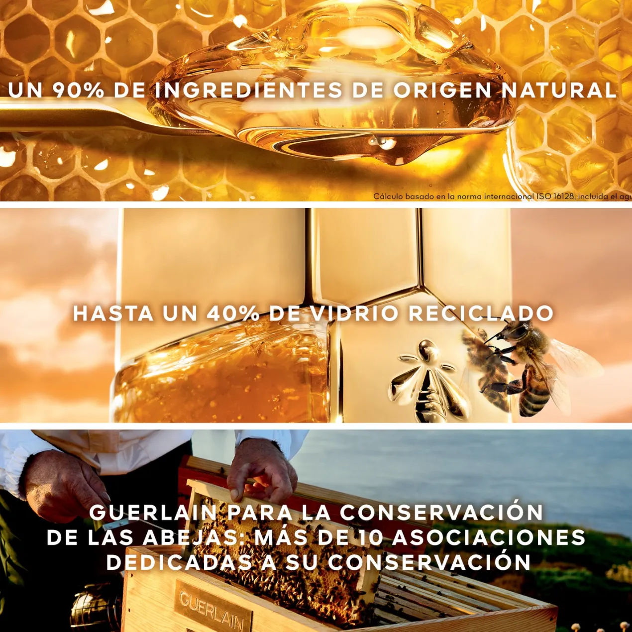 Abeille Royale Crema de Día Honey Treatment