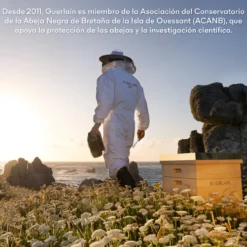 Abeille Royale Programa Antiedad Sérum Aceite Acuoso de Juventud