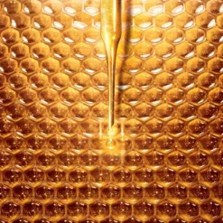 Abeille Royale Programa Antiedad Crema de Día
