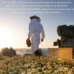 Abeille Royale Tratamiento Honey Bond Sin Aclarado