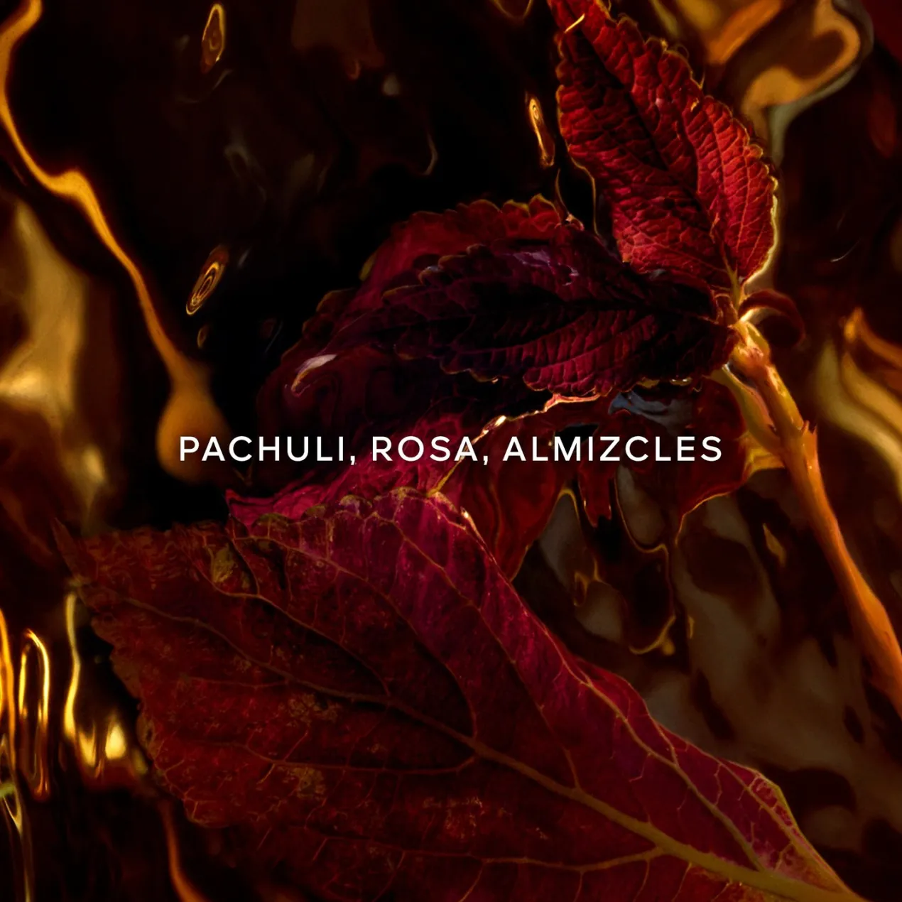 Absolus Allegoria Patchouli Ardent Eau de Parfum