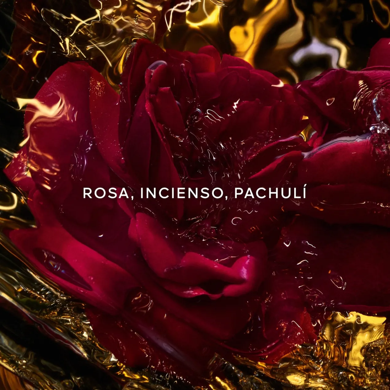 Absolus Allegoria Rose Amira Eau de Parfum