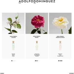 Agua Fresca de Rosas EDT
