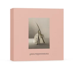 Agua Fresca Terracota Musk EDP Estuche