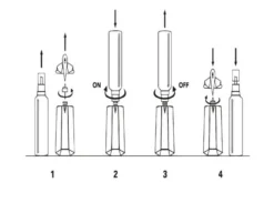 Alien Goddess EDP