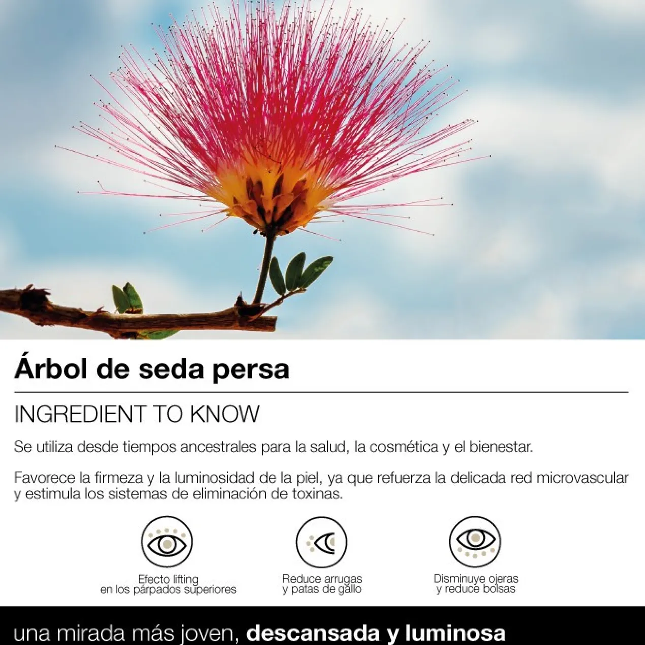 Antimanchas Contorno de Ojos Multi-Corrector