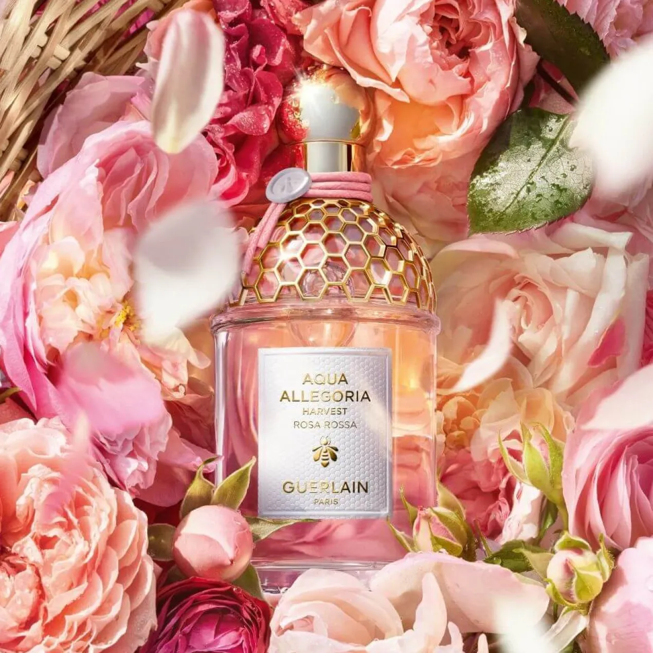 Aqua Allegoria Harvest Rosa Rossa