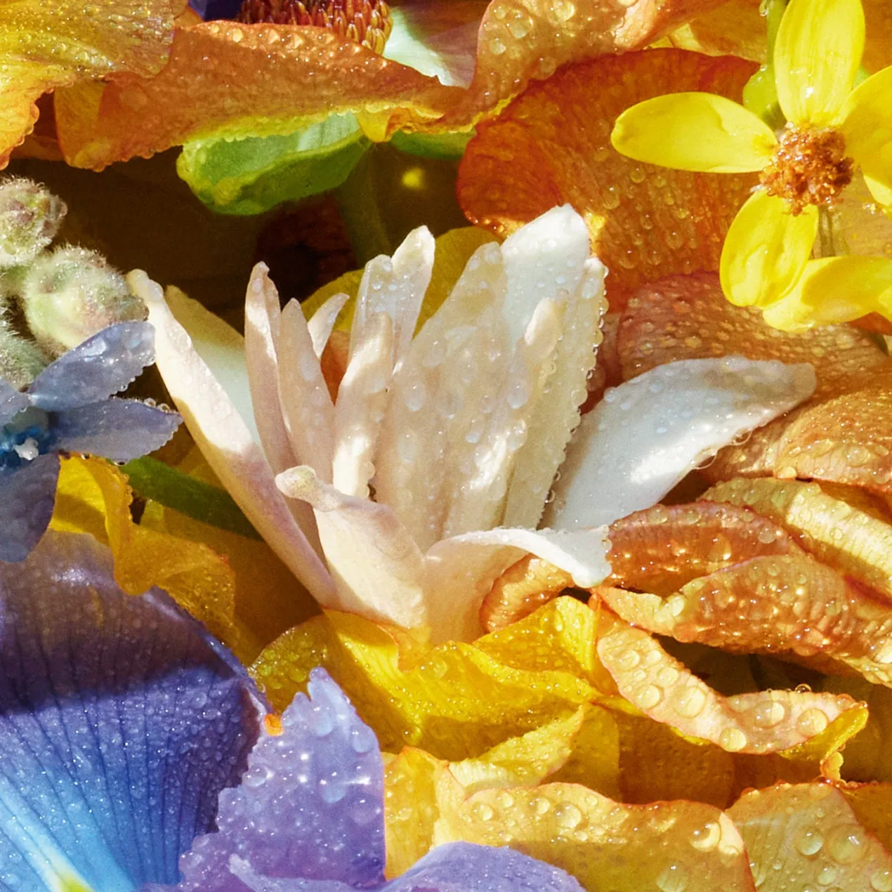 Aqua Allegoria Florabloom Eau de Toilette