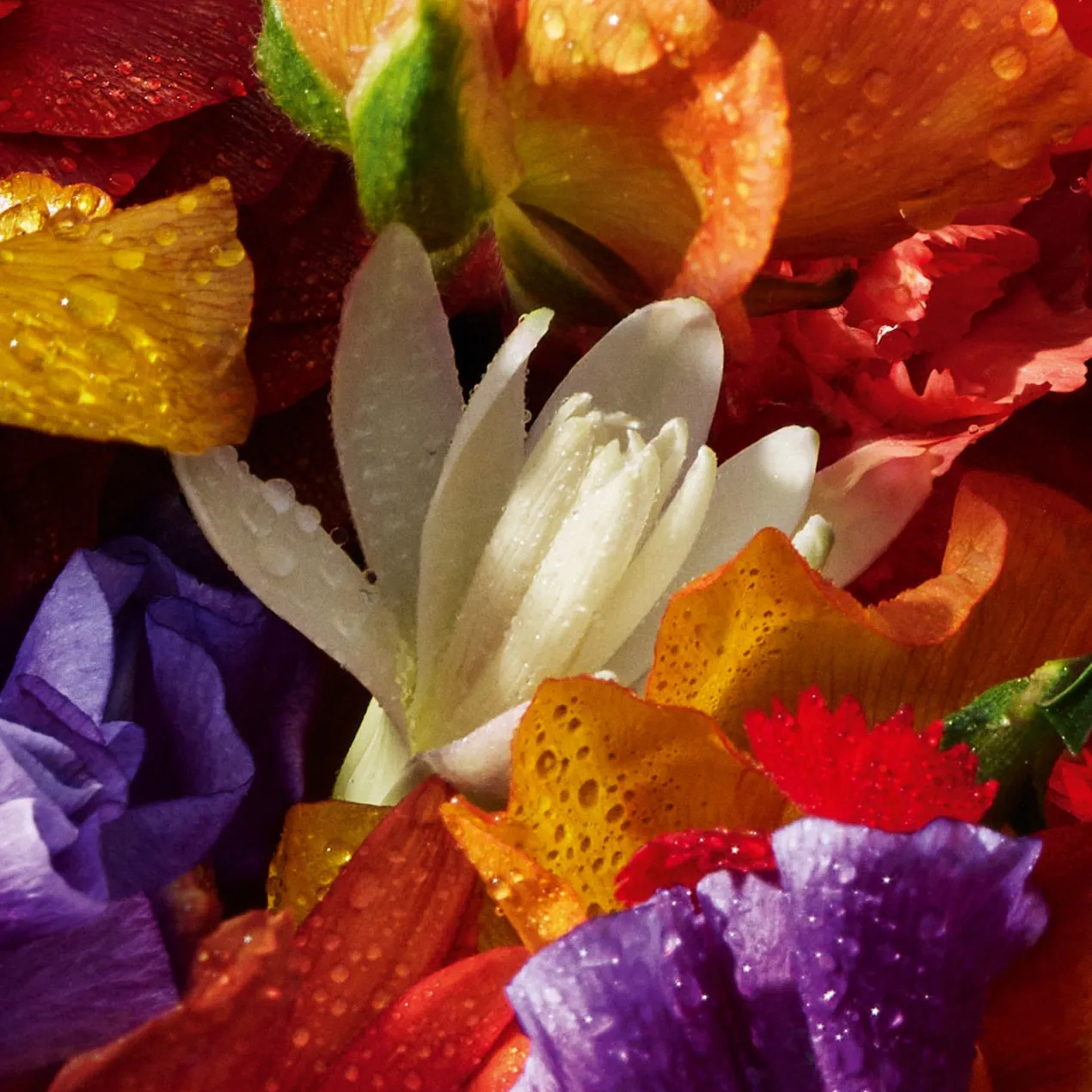 Aqua Allegoria Forte Florabloom Eau de Parfum