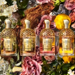 Aqua Allegoria Forte Rosa Palissandro Eau de Parfum