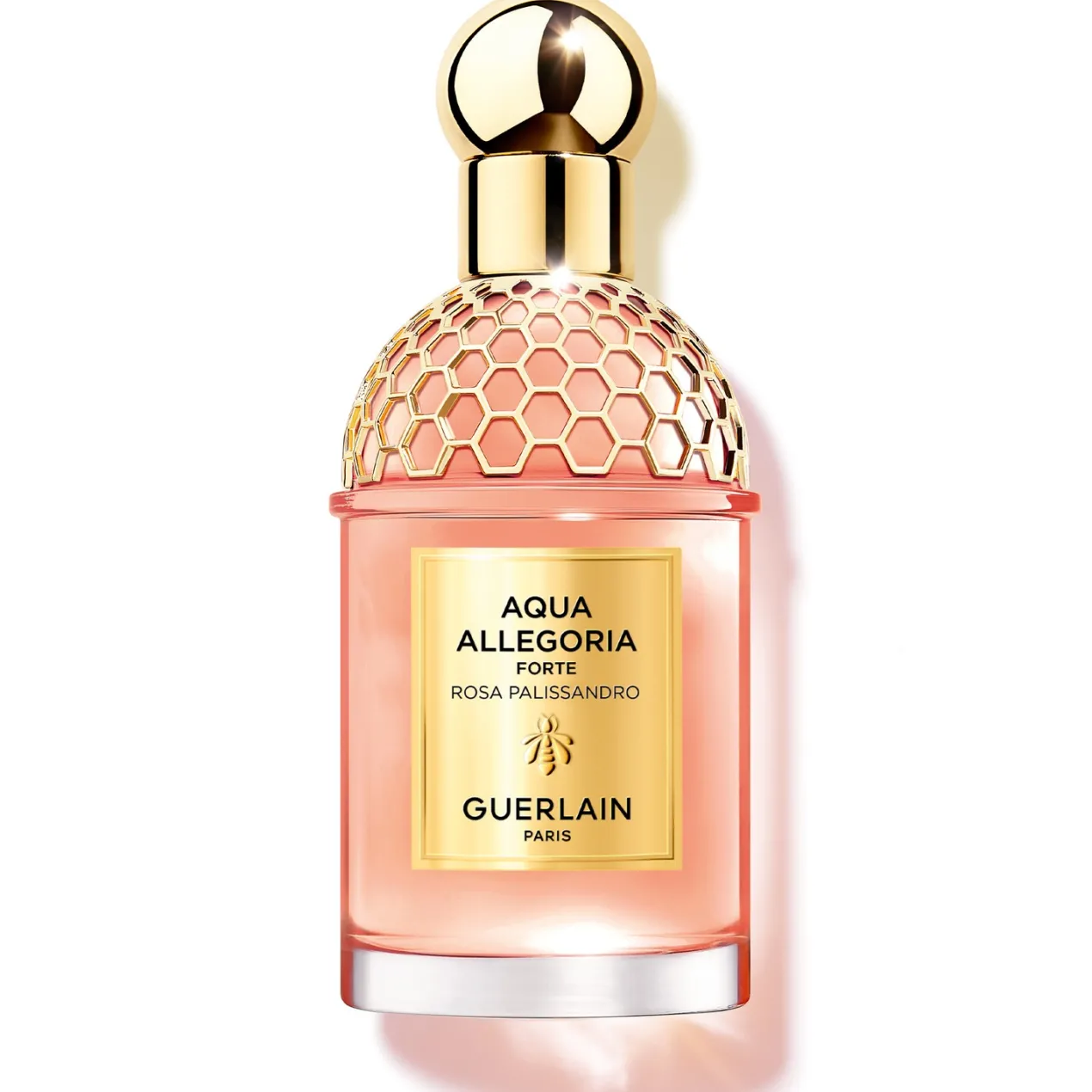Aqua Allegoria Forte Rosa Palissandro Eau de Parfum