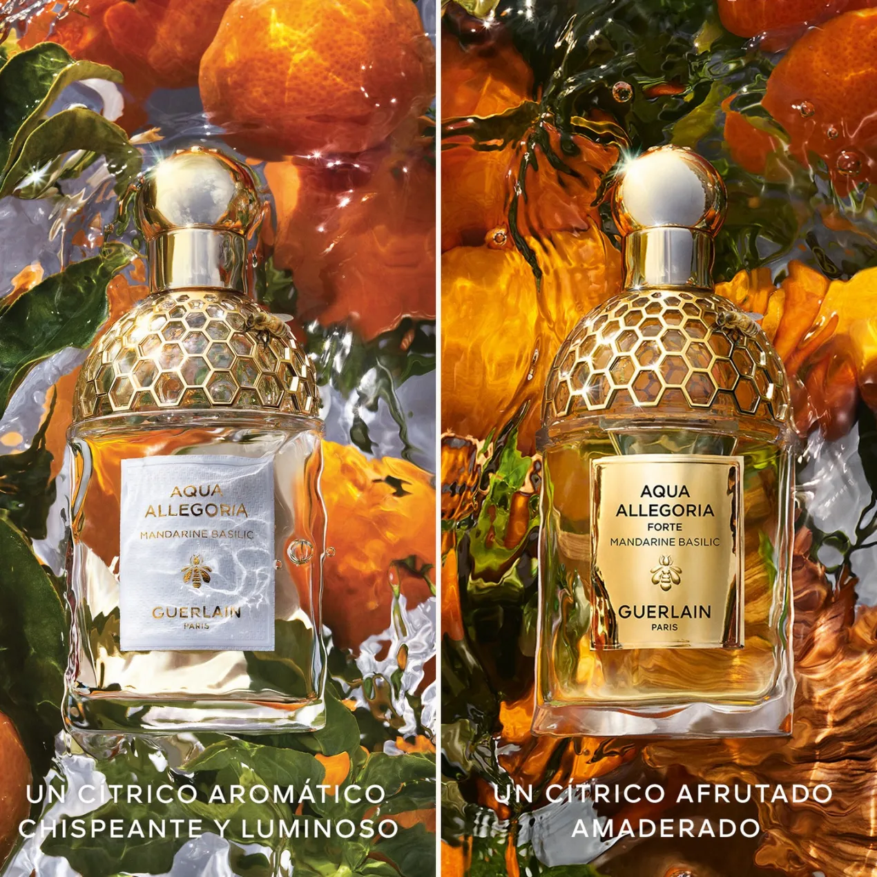 Aqua Allegoria Mandarine Basilic Eau de Toilette