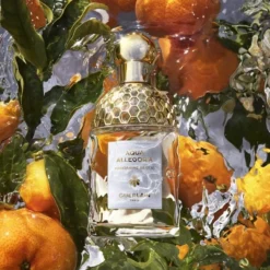 Aqua Allegoria Mandarine Basilic Eau de Toilette
