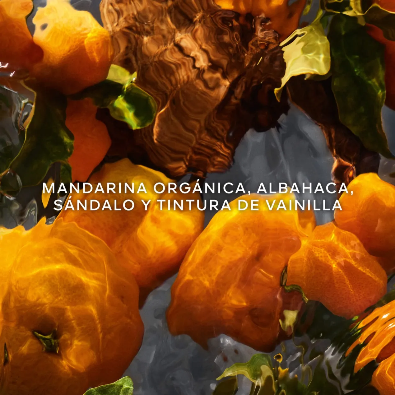 Aqua Allegoria Mandarine Basilic Forte Eau de Parfum