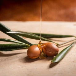 Argan Oil of Morocco Aceite Extra Penetrante