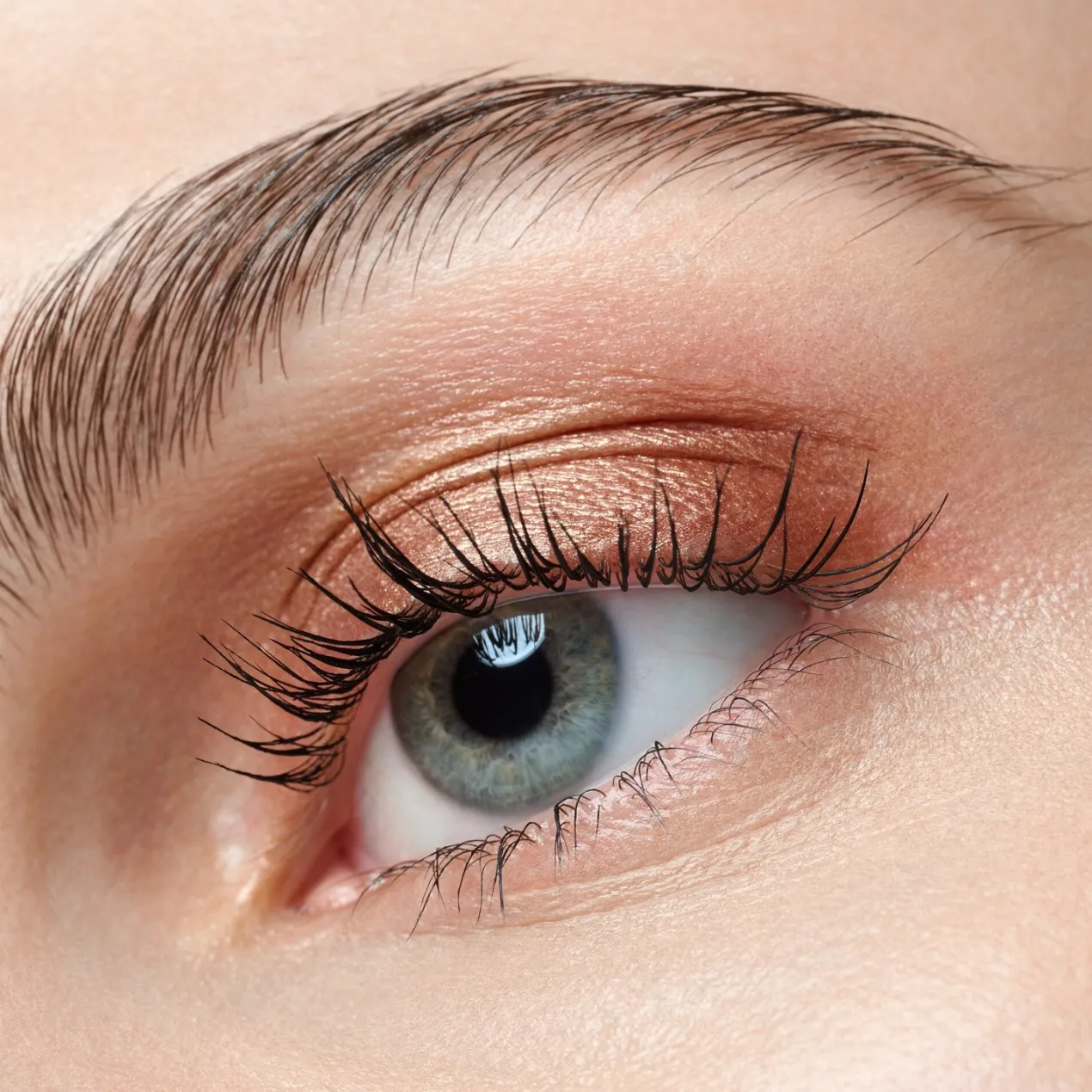 Art Couleurs Sombras de ojos