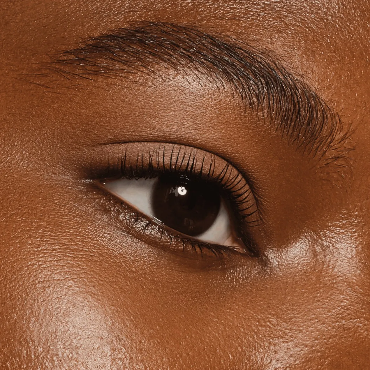 Art Couleurs Sombras de ojos