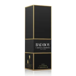 Bad Boy Eau de Toilette Refill