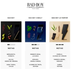 Bad Boy EDT