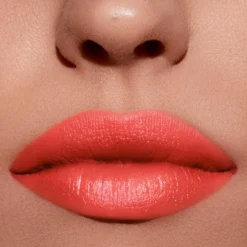 Barra de Labios Lip Power