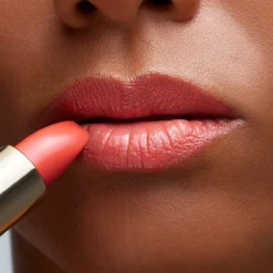 Barra de Labios The Lipstick