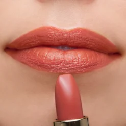 Barra de Labios The Lipstick
