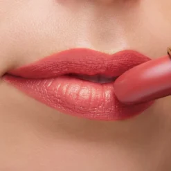 Barra de Labios The Lipstick