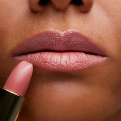 Barra de Labios The Lipstick