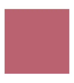 Barra de Labios Vegan Collagen Plumping Color Lipstick