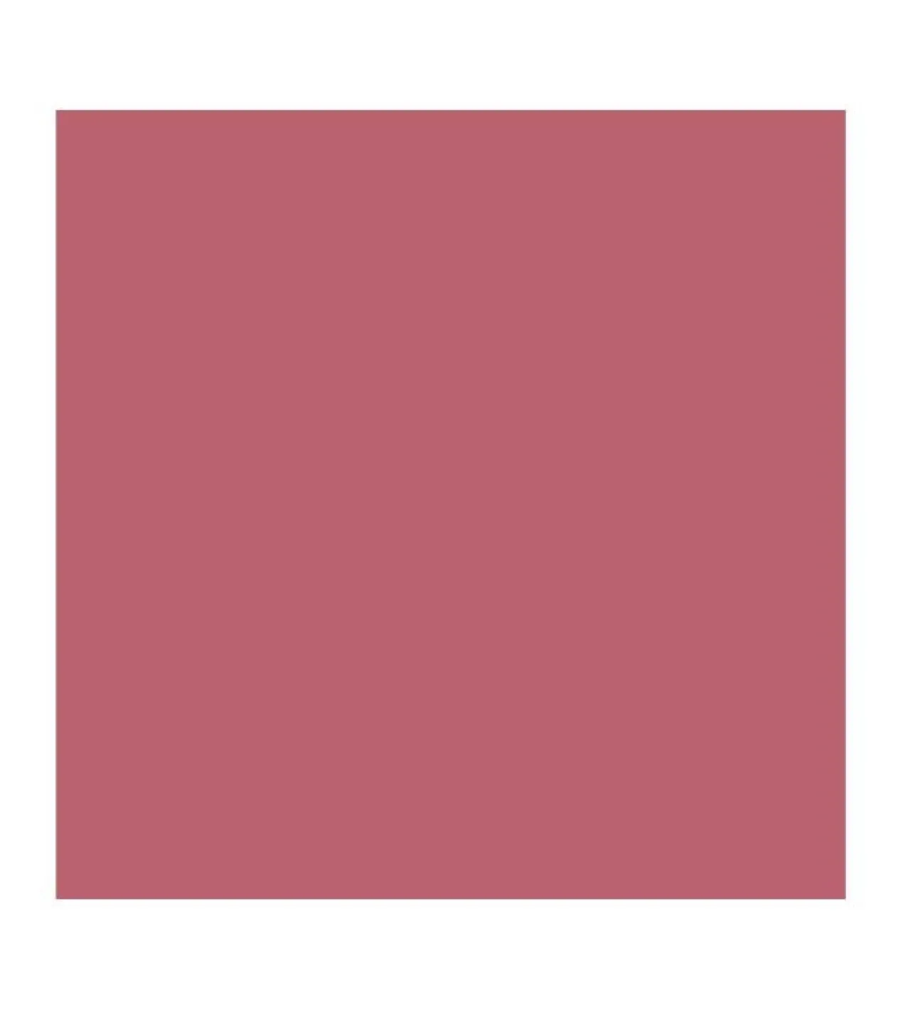 Barra de Labios Vegan Collagen Plumping Color Lipstick