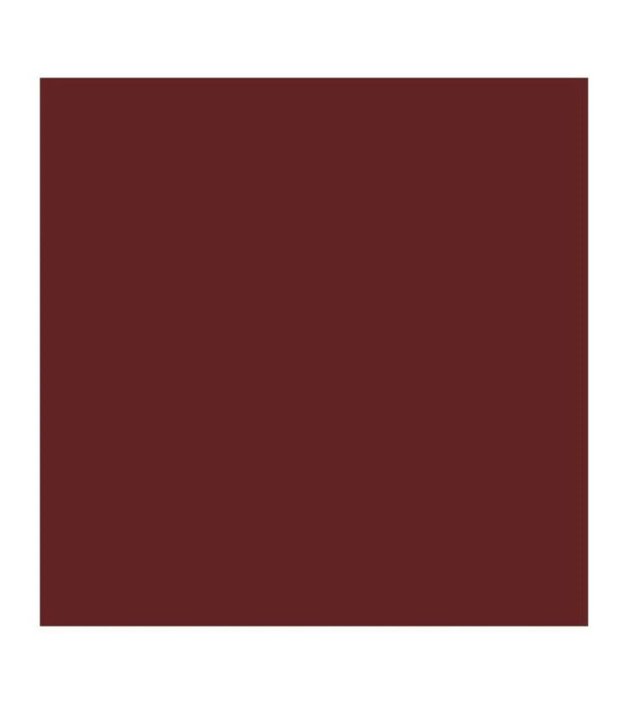 Barra de Labios Vegan Collagen Plumping Color Lipstick
