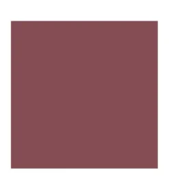 Barra de Labios Vegan Collagen Plumping Color Lipstick