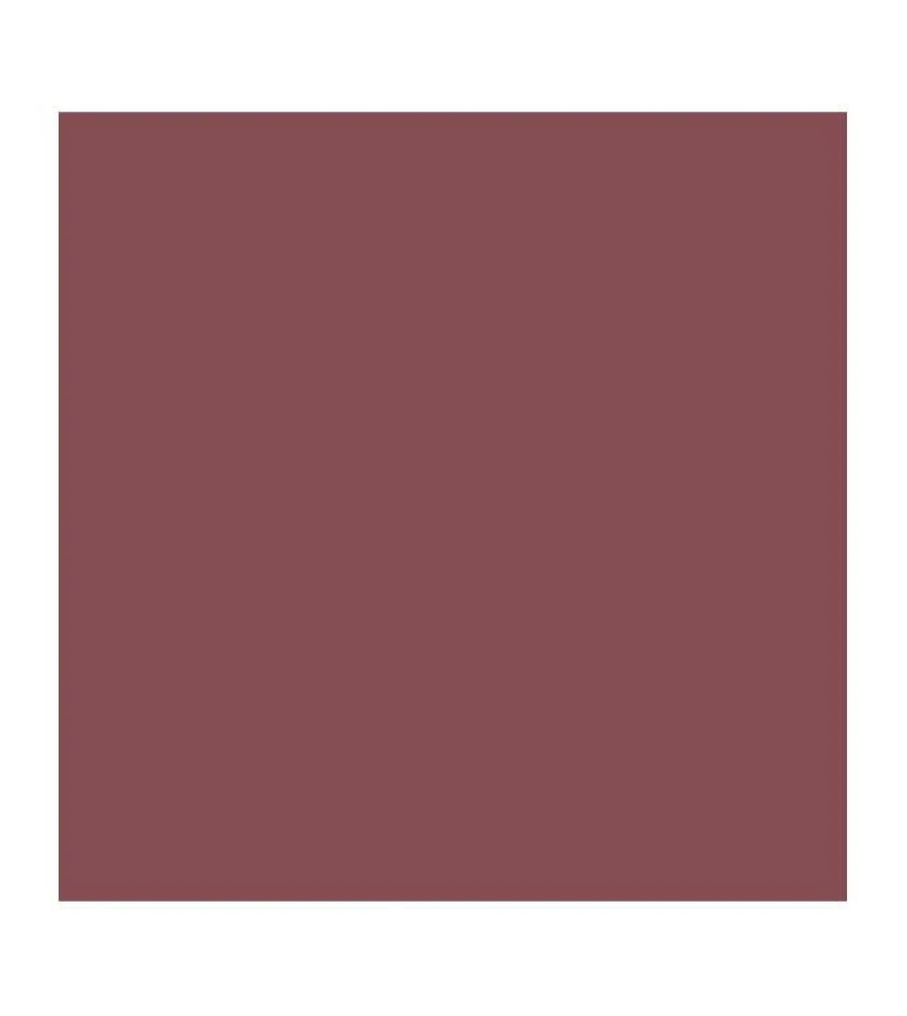 Barra de Labios Vegan Collagen Plumping Color Lipstick