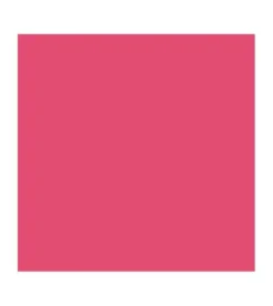 Barra de Labios Vegan Collagen Plumping Color Lipstick