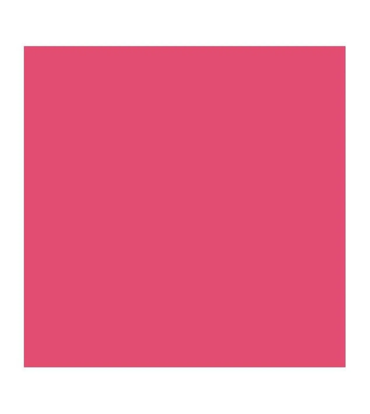 Barra de Labios Vegan Collagen Plumping Color Lipstick