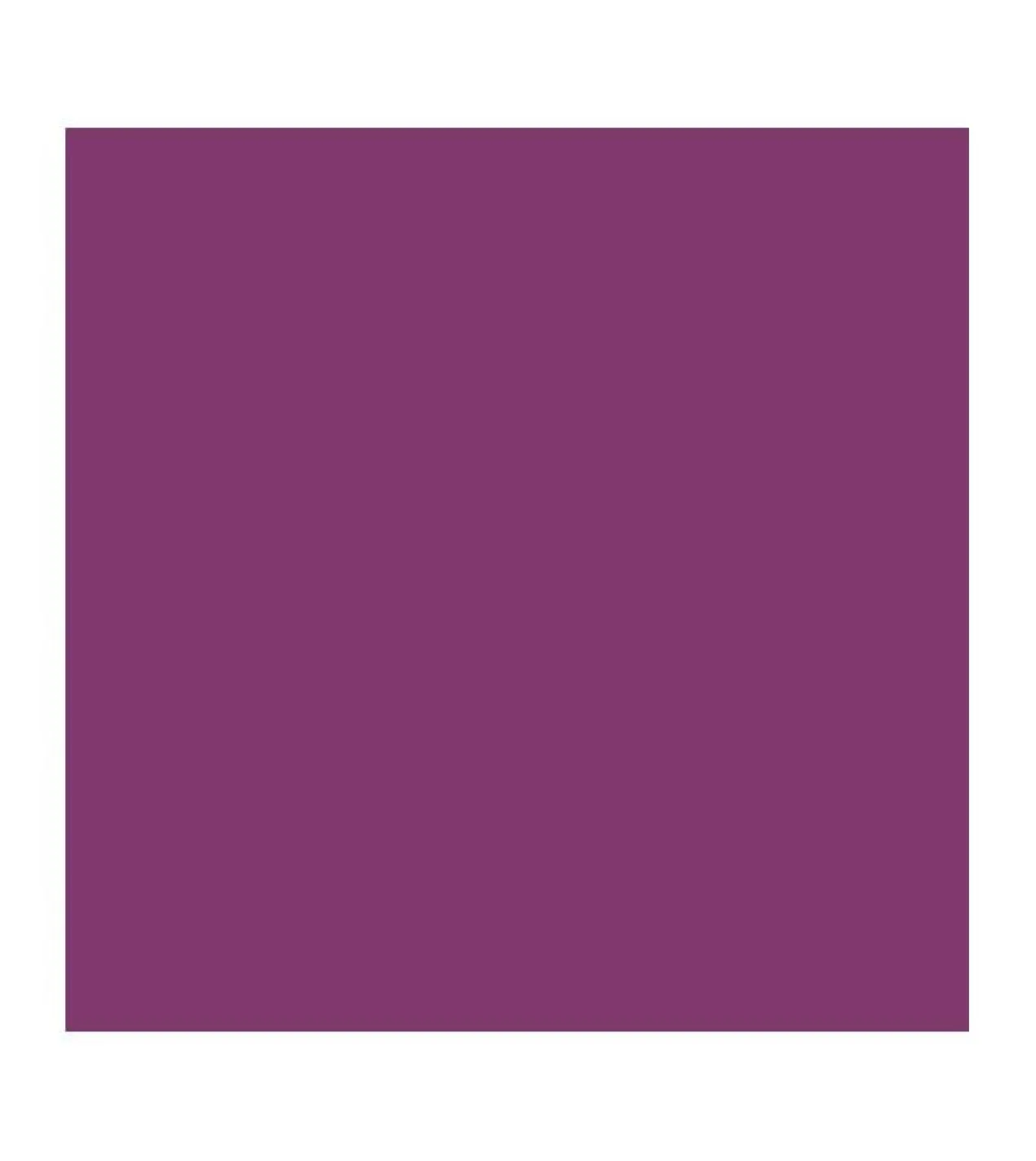 Barra de Labios Vegan Collagen Plumping Color Lipstick