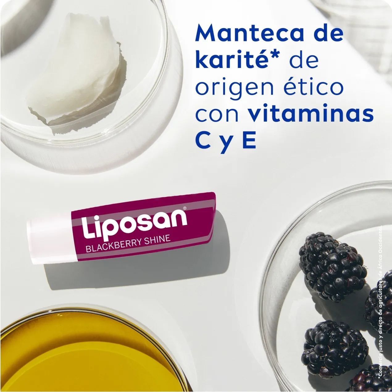 Bálsamo Labial de Mora