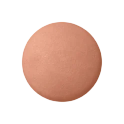 Blush Colorete en Polvo