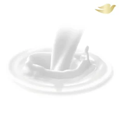 Body Milk Nutrición Esencial