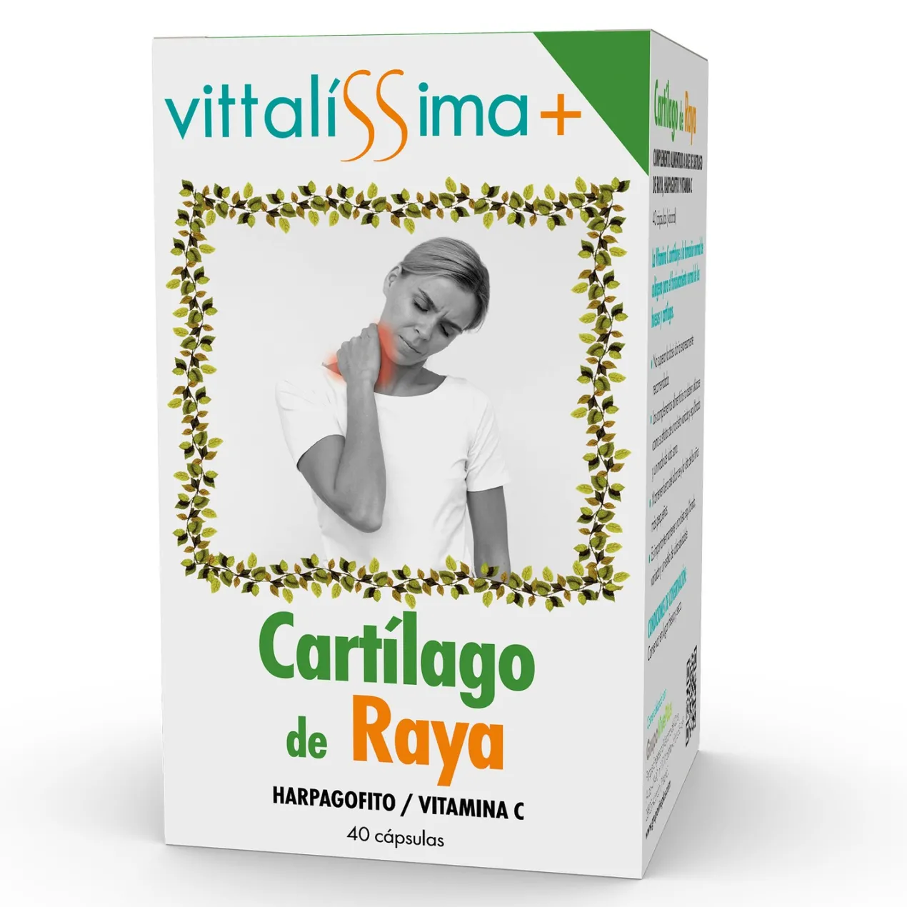 Cartílago de Raya