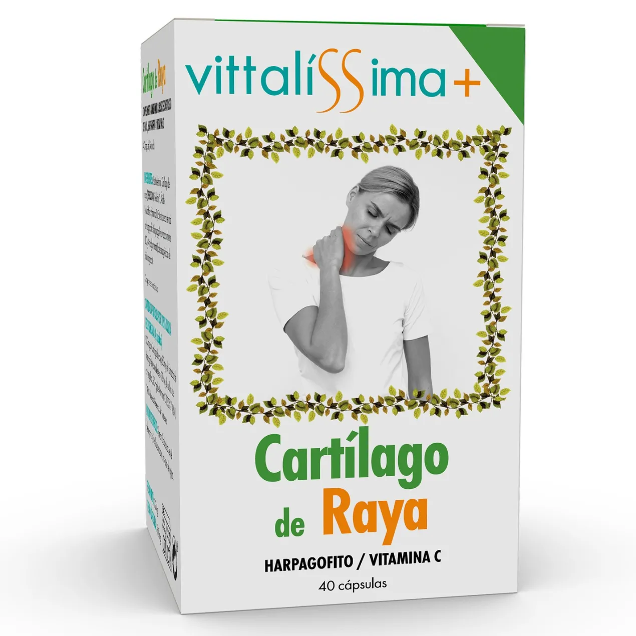 Cartílago de Raya