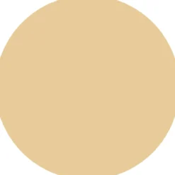 CC Skin Perfector