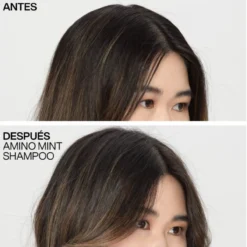Champú Amino-Mint Cabello Graso