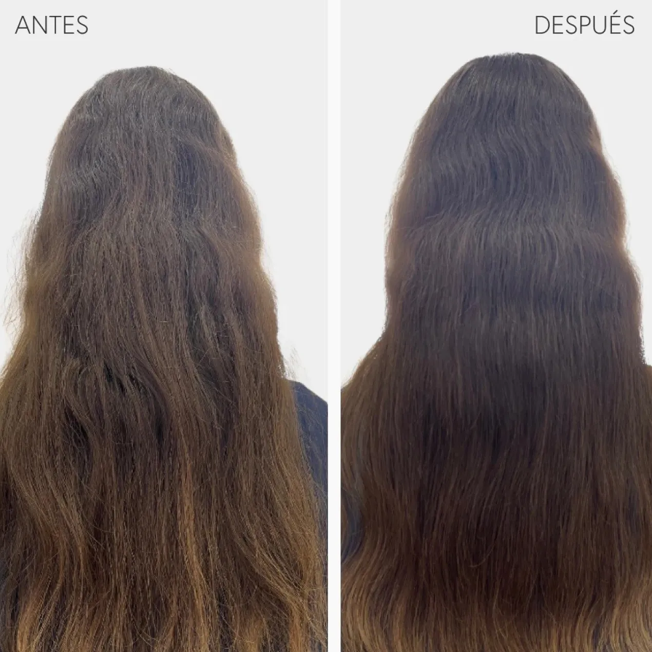 Champú Bathman Detox Hair