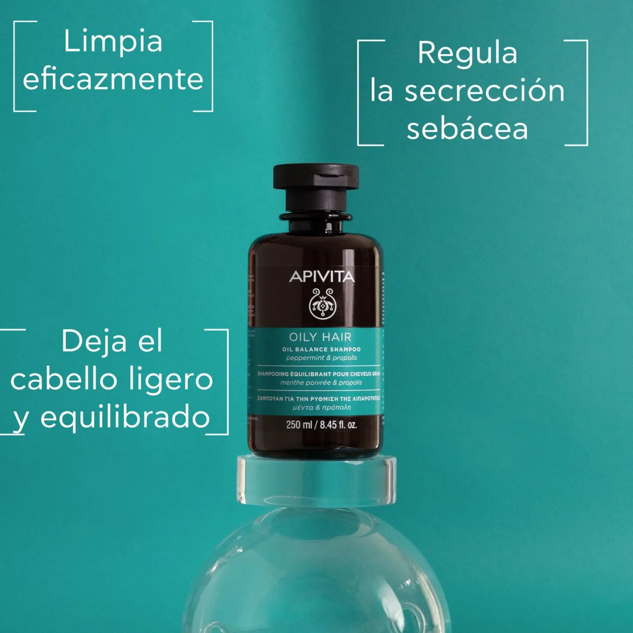 Champú Cabello Graso