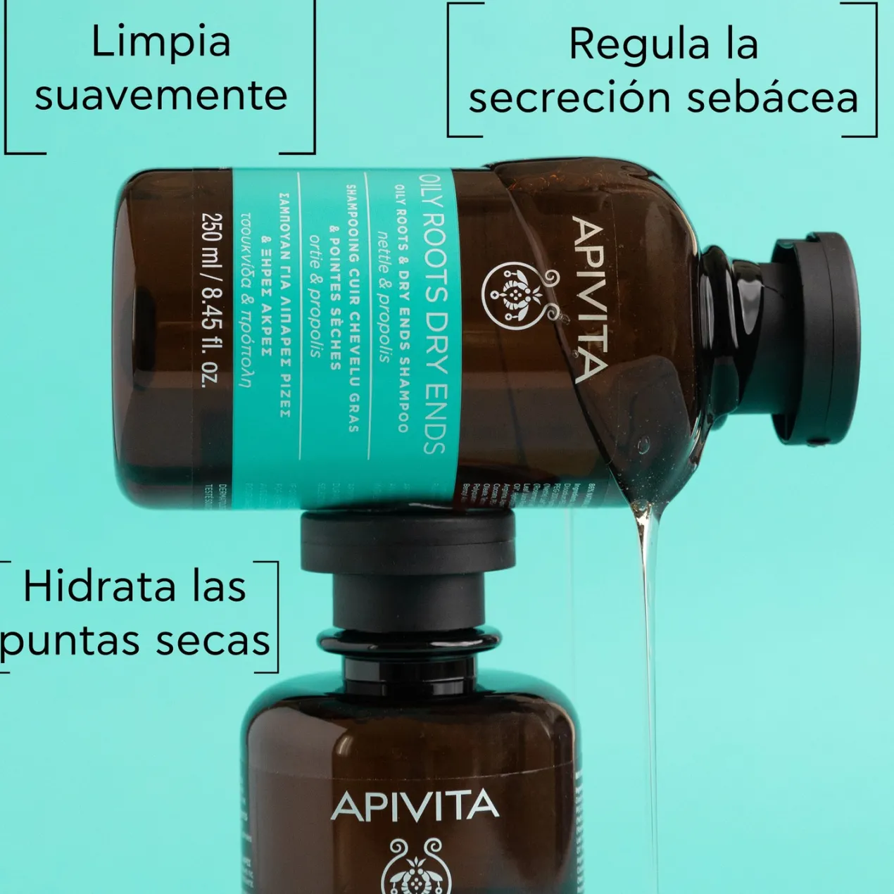 Champú Equilbrante Raíz Grasa y Puntas Secas