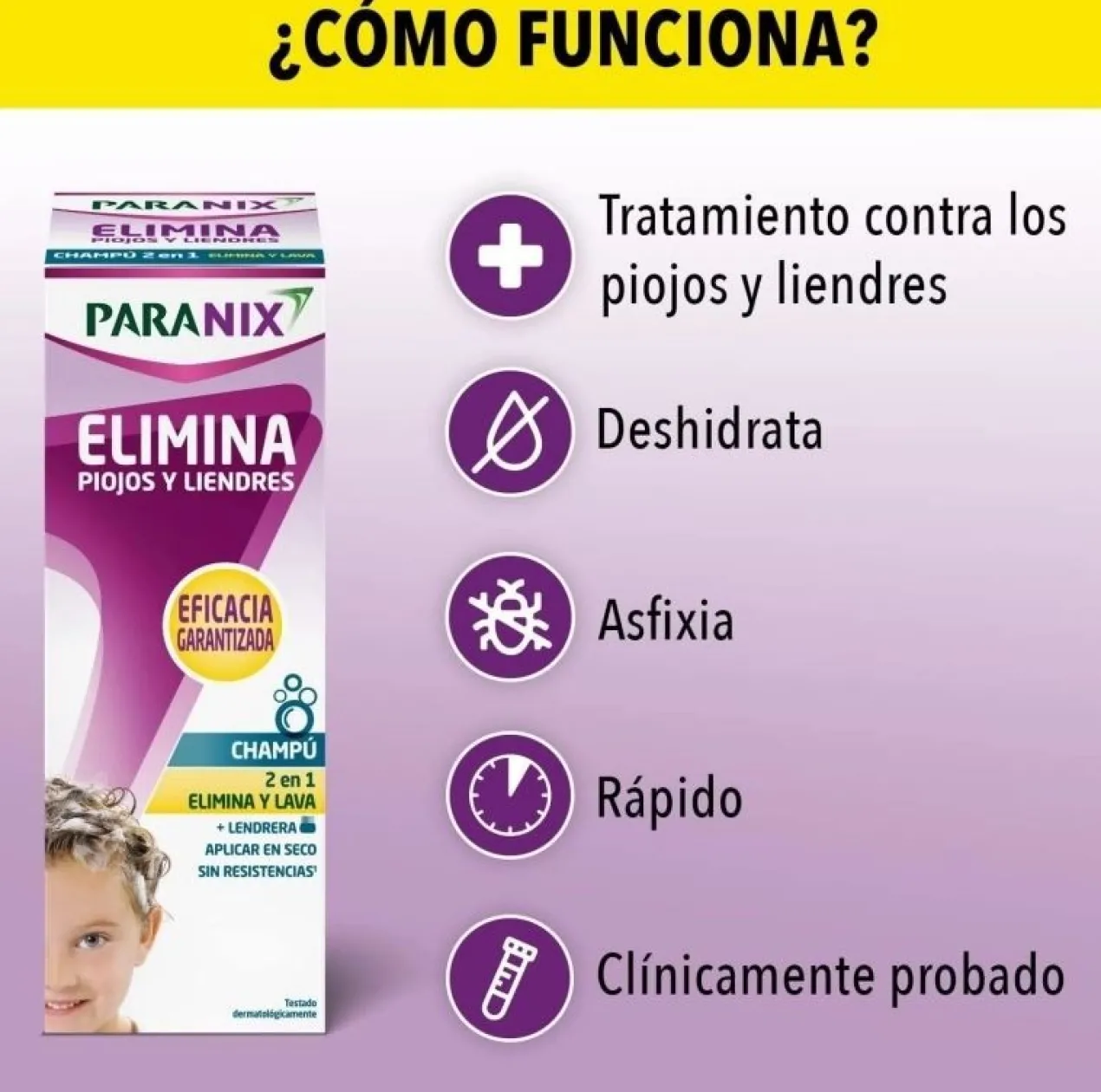 Champú Piojos Y Liendres + Lendrera