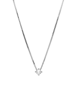 Collar Nova