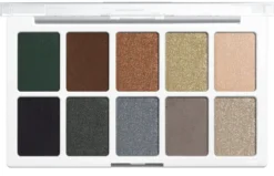Color Icon Paleta de Sombras 10 Pan