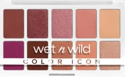 Color Icon Paleta de Sombras 10 Pan